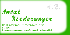 antal niedermayer business card